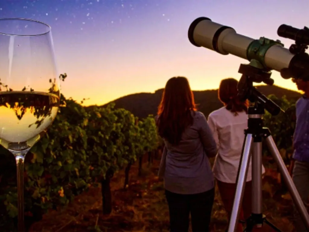 Stargazing & Evening Walks experience in Sonoma County 