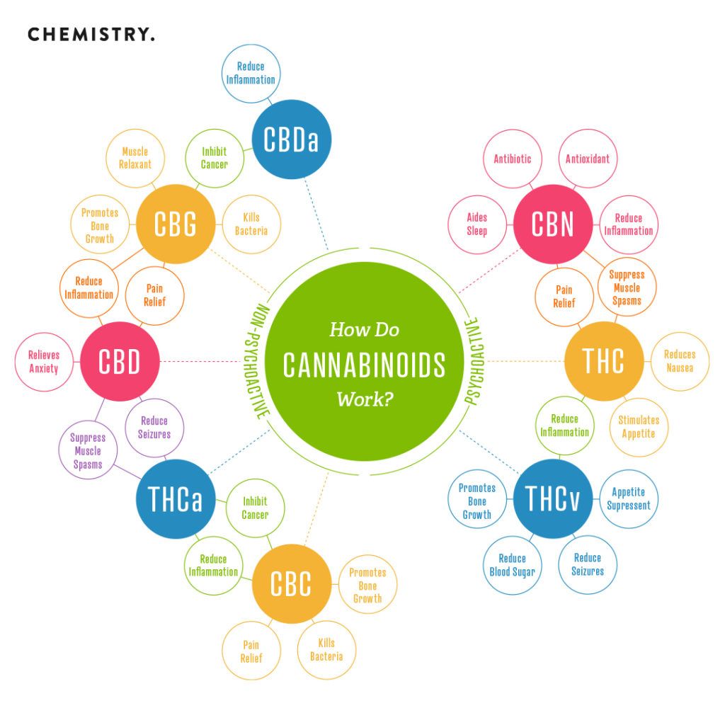 Diagram showing how cannabinoids work. Circles radiate out, each labeled with a cannabinoid (CBD, CBG, etc.) and effects.
