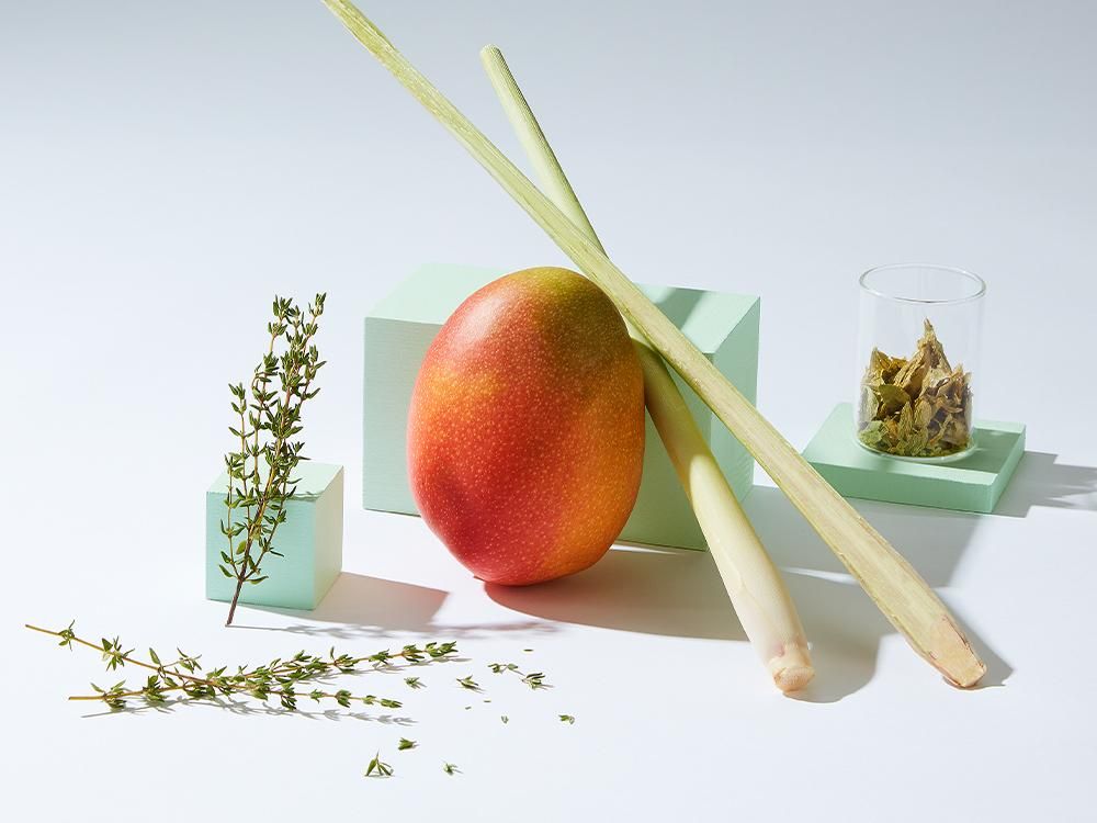 Cannabis Terpenes: What They Are, How They Work & Why They Matter