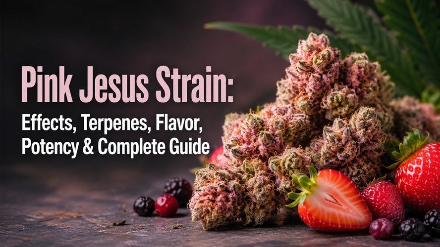 Pink Jesus Strain: Flavor, Potency, Terpenes & Effects