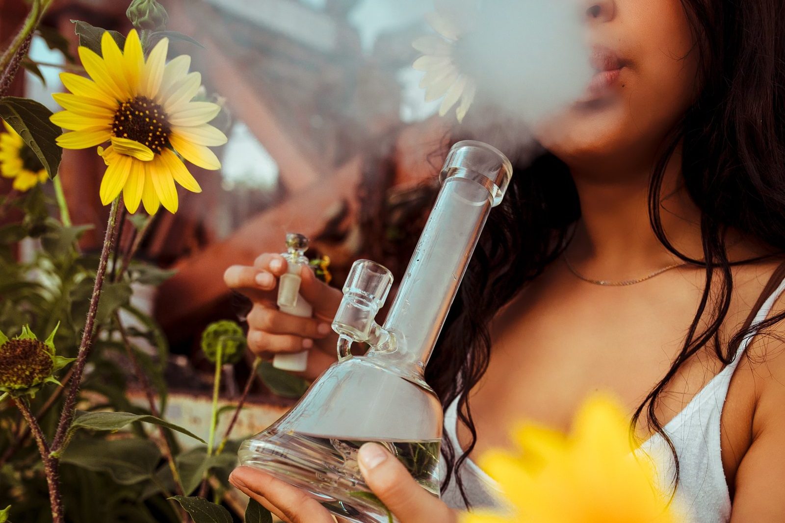 A person exhaling smoke among sunflowers while celebrating 4/20