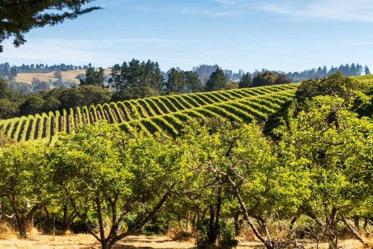 Sebastopol, California