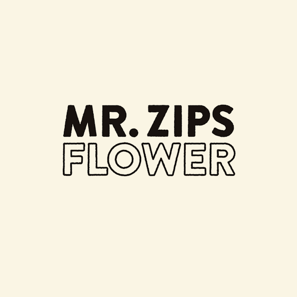 MR. ZIPS logo