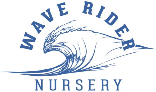 Wave Rider logo